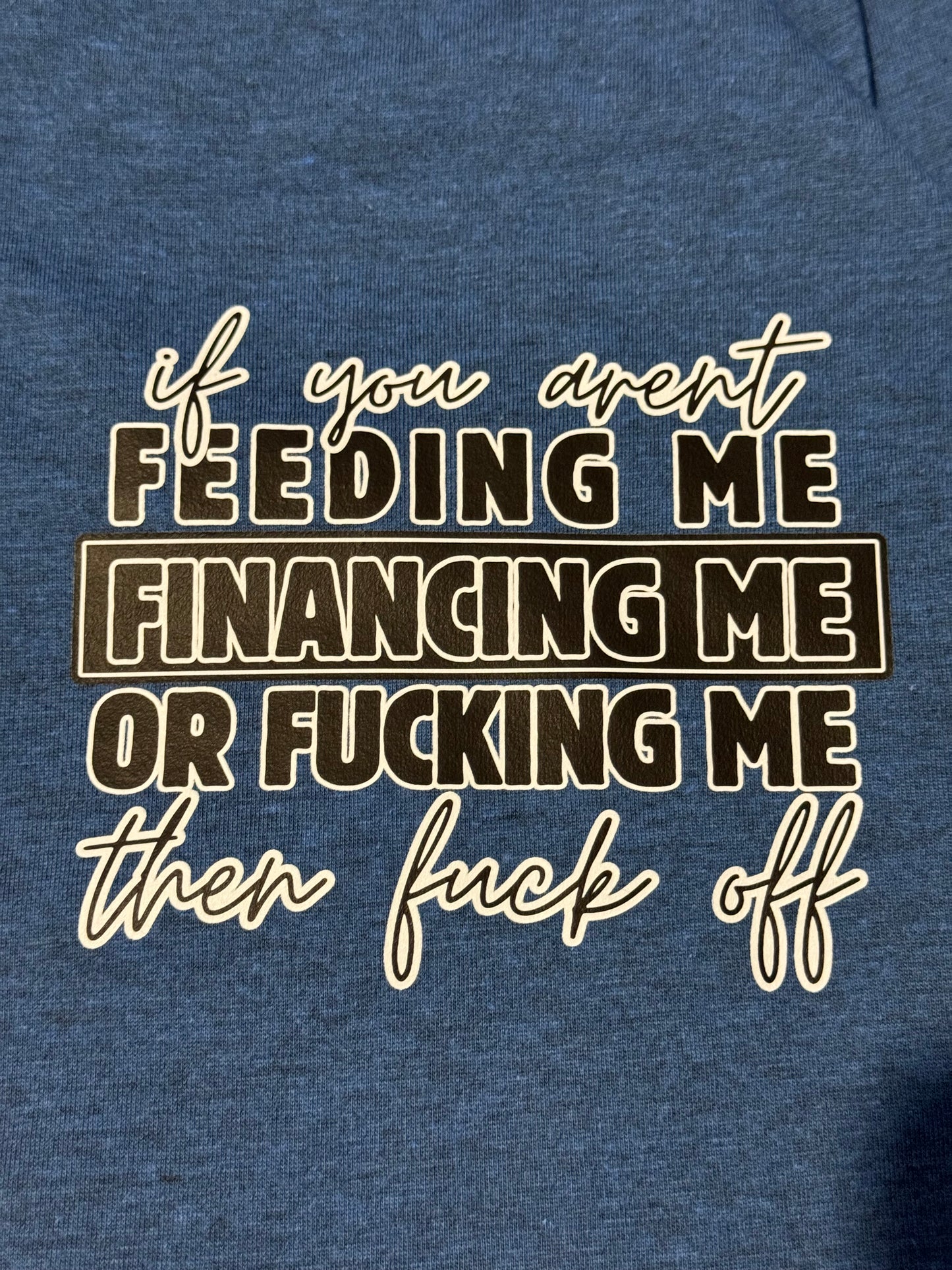 If You Aren’t Feeding Me Financing Me Or Fucking Me Then Fuck Off Shirt